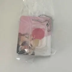 ズートピア ブリスターチャームコレクション ガチャ アイスキャンディ