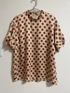 Zara Polka Dot Blouse Topsのサムネイル