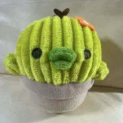 2025年最新】サボテンになりきりぬいぐるみの人気アイテム