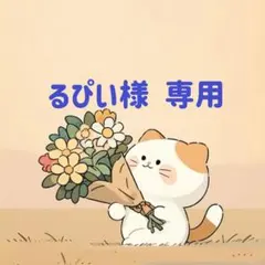 るぴい様　専用(12/3迄)