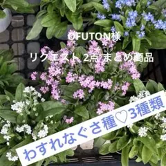 OFUTON様 リクエスト 2点 まとめ商品