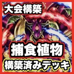 遊戯王 捕食植物 デッキ 本格構築 メイン40枚＋EX15枚