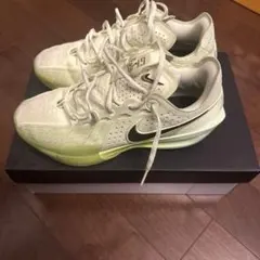 Item thumbnail for item 0d8c9035-c849-4bd6-8756-35219e681f81