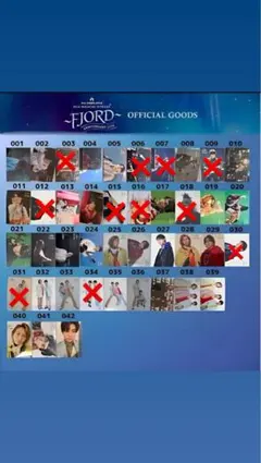 希望2枚FJORD フォトカバラ売り相談可能