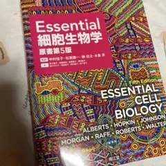 Item thumbnail for item 94a93233-1b24-423c-89ef-bf5529adb8c9