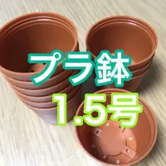 プラ鉢1.5号茶20個新品未使用[07081330]のサムネイル