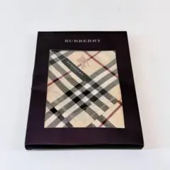 甲MJ20976　新品未使用品　送料無料　即購入可能　スピード発送　ハンカチ