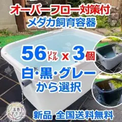 メダカ 飼育ケース 56㍑x3個 白黒灰選択可 オーバーフロー加工済 金魚 Amazon | 五色アクア メダカ飼育容器 56リットル グレー（灰