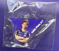 サンフレッチェ広島　アクリルキーホルダー　#33塩谷司