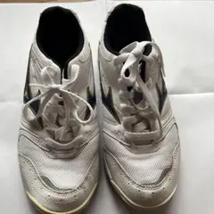 く*ん様 ミズノシューズ