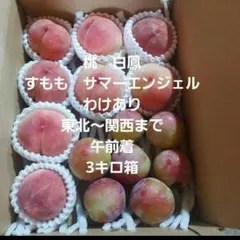 ※※2桃　白鳳　すもも　サマーエンジェル　訳あり　箱込3キロ　山梨県産　午前着のサムネイル