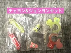 TWICE LOVELYS アクリルカラビナフロッキーマスコット チェヨン
