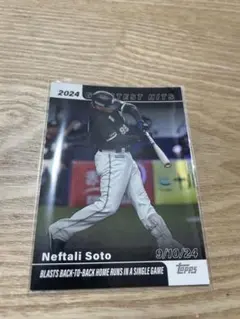 2025 topps npb 千葉ロッテマリーンズ ネフタリ ソト