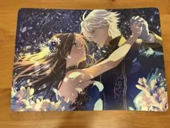 どうせ捨てられるのなら、最後に好きにさせていただきます 4巻アニメイト購入特典