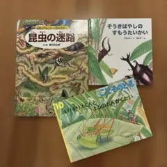 かがくのとも 雑木林の虫たちの絵本 ヤママユ カブトムシ ハンミョウ