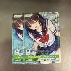 CMにたくさんでている有名なモデル 2枚セット