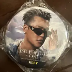 三代目 ELLY缶バッジ 2個セット