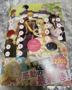 ある日、お姫様になってしまった件について13巻