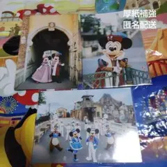 <匿名配送> ディズニーランド Disney Love | スペシャルフォト全11種類紹介！ディズニー・イースター2016 2016 イースター スペシャルフォト その他