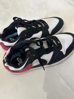 【美品】NIKE SBスニーカー アリウープ　ユニセックス24.5cm