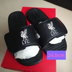 Item thumbnail for item f41149ff-fc11-4da0-ac64-004b1b0cd05b