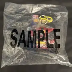 Item thumbnail for item f128c027-867d-402b-9029-1e0eadf363da