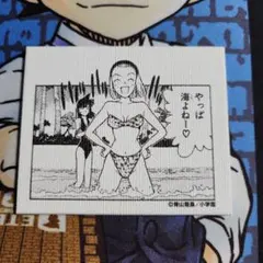 名探偵コナン ランダムキャンバスマグネット 鈴木園子 水着 コナン マグネット