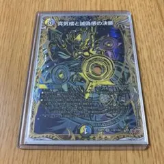 2025年最新】パーフェクトペテンシーの人気アイテム - メルカリ