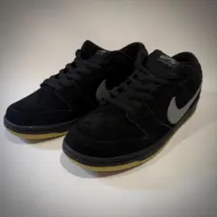 NIKE SB DUNK LOW PRO US12(30.0cm)