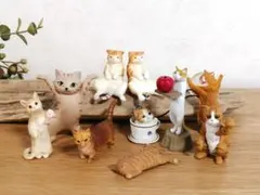 茶トラ、茶白など 10匹