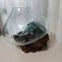 流木ガラスオブジェW18C 花瓶 金魚鉢 ガーデニング テラリウム 観賞魚