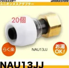 ☆BSプッシュマスターオスアダ☆NAM13J ☆20個☆ - メルカリ