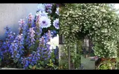 Item thumbnail for item 871815ee-af1a-41f4-8e73-7e2004ed8f30