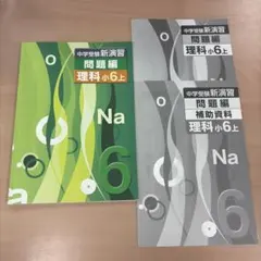 中学受験 新演習 問題編 理科 小6上 小学教材 中学受験 塾教材のサムネイル