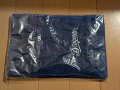 Item thumbnail for item 094ca693-87ac-4b8a-aabb-2594f5a670ff