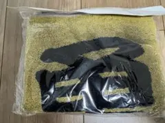 Item thumbnail for item cfeba875-dda6-4887-a352-0a641abc10f1