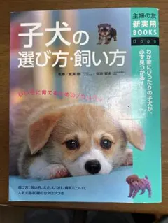 子犬の選び方・飼い方