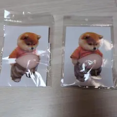 新品 柴犬 おなかぷにぷにシール スクイーズ お腹シール ステッカー 2枚セット