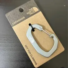 新品　ザノースフェイス　カラビナ　グレー　日本未発売のサムネイル