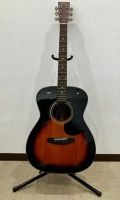 アリアドレッドノート アコギ＋RITTERケース＋スタンド＋付属品（初心者OK） アリアドレッドノート アコギ＋RITTERケース＋スタンド＋付属品