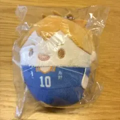 ハイキュー くじメイト ぬいくじ D賞 ふわコロりん 日向翔陽