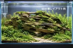 1[新品]特大　マシンガンウッド★水槽 レイアウト　流木　アクアリウム　熱帯魚