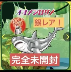 新品未開封　ジャングル&co. 　オオメジロザメ　銀　スーパーレア　アンドコ