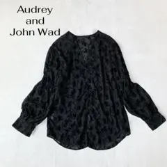 オードリーアンドジョンワッド リーフ柄 総刺繍 総レース シアーブラウスのサムネイル