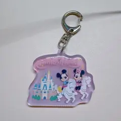 東京ディズニーリゾート キーチェーン テーマポート ファンタジーランド ミッキー