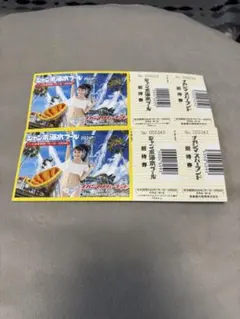 ナガシマジャンボ海水プール招待券 2枚セット - メルカリ