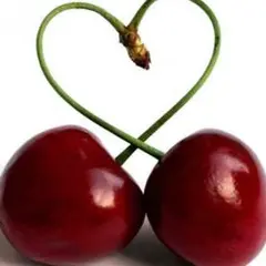 km…様専用です♪(´ε｀ )