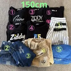 Ziddy・ALGY・Jenni10点セット
