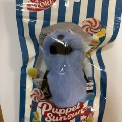 パペットスンスン SUNSUN CandyStore ポップアップ
