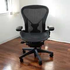 アーロンチェア ポスチャーフィットフル装備 グラファイト/クラシック Bサイズ